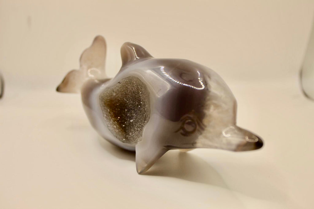 Druzy agate Dolphin