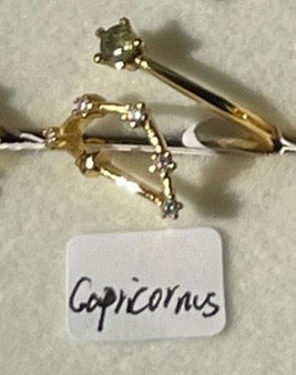 Moldavite Star Sign Rings Gold Plated